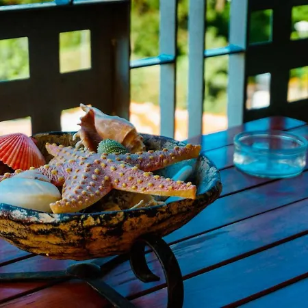 Sweet Harmony דירה